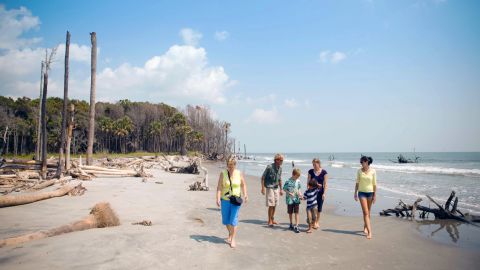 Capers Island Wildlife Exploration