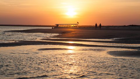 Dolphin Discovery Sunset Cruise