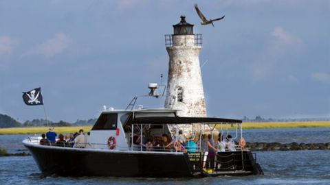 Daytime Dolphin Tour