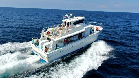Fishing Trips with Destin Party Boat Fishing