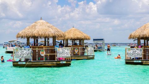 Harbor/Sandbar Cruise