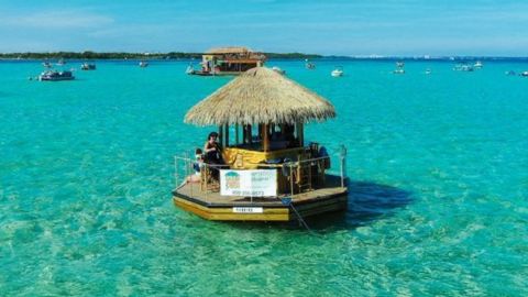 Harbor/Sandbar Cruise