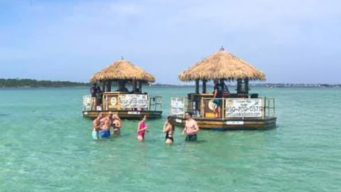 3 Hour Crab Island Sandbar Cruise