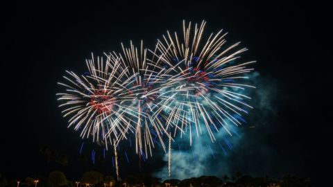Fireworks Dolphin Cruise
