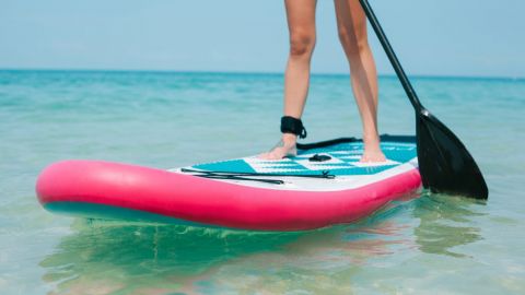 Paddleboard Rental