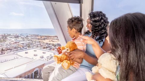 Skywheel Flight : Admission