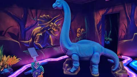 Indoor Black Light Mini Golf in Panama City Beach