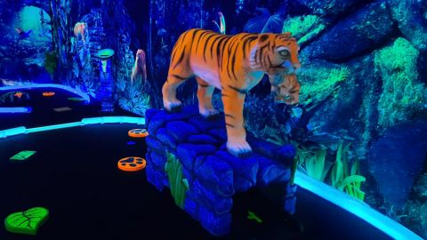 Indoor Black Light Mini Golf in Miramar Beach