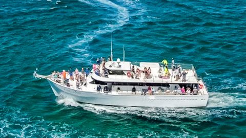 Party Boat Fishing Trips