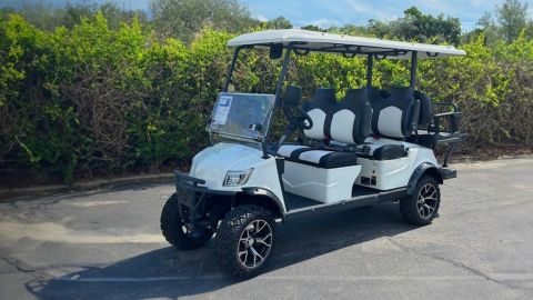 1 Day : Golf Cart Rental