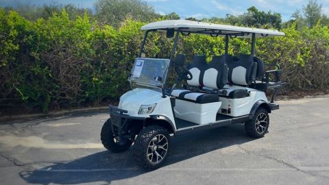 2 Day : Golf Cart Rental