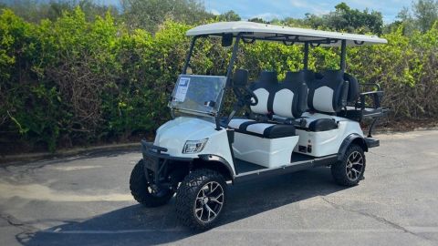 3 Day : Golf Cart Rental