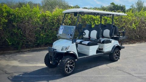 4 Day : Golf Cart Rental