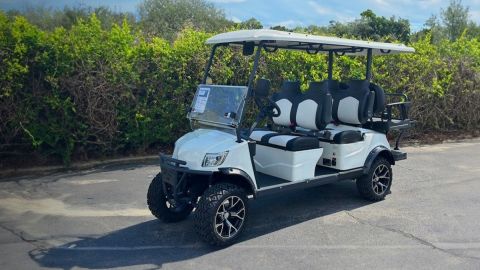 6 Day : Golf Cart Rental