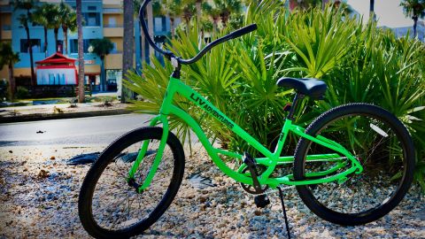 2 Unisex Adult Single Speed Bikes