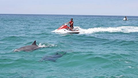 Jet Ski Dolphin Tour