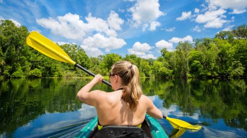 Kayak & SUP Rentals