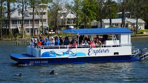 Sunset Dolphin & Nature Cruise