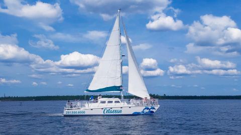 Sun and Sailing Cruise