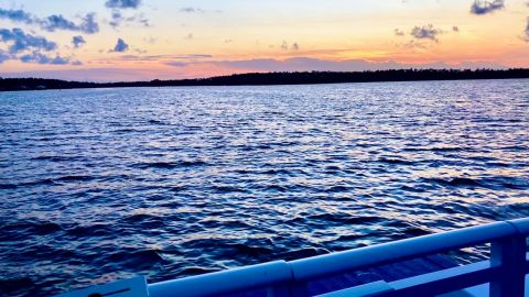 Sunset Dolphin & Nature Cruise