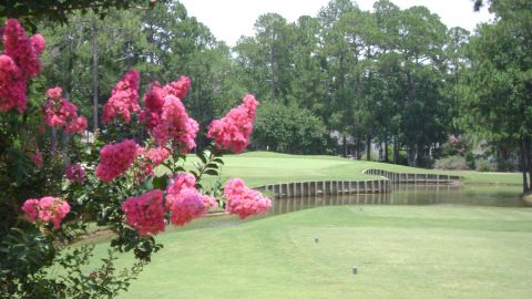 Play golf at Gulf Shores Golf Club