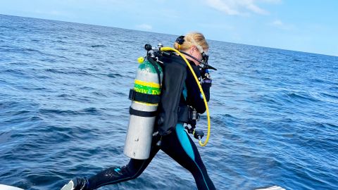 Discover Scuba Diving Classes