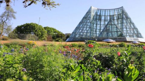 San Antonio Botanical Garden