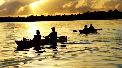 Salt Marsh Kayak Tour