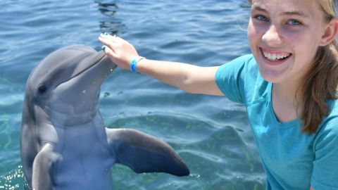 Dolphin Meet N Greet at Marineland Dolphin Adventure