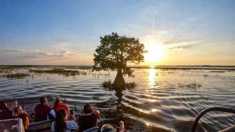 Night Airboat Tour