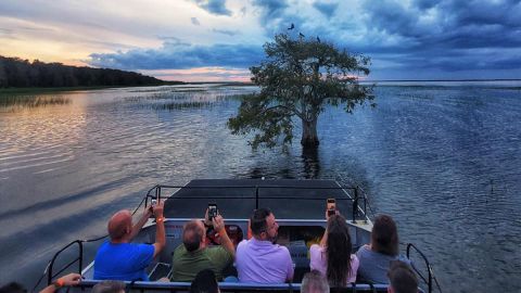 Sunset Airboat Tour