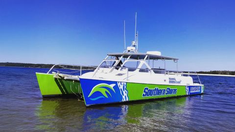 Catamaran Dolphin Cruise