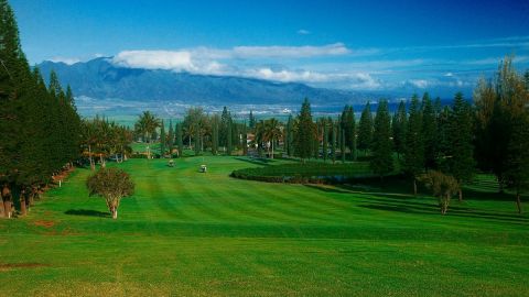 Play Golf at Pukalani Country Club