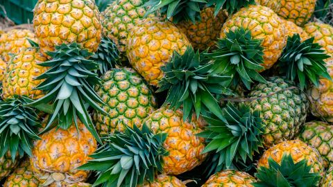 Maui Pineapple Farm Tour