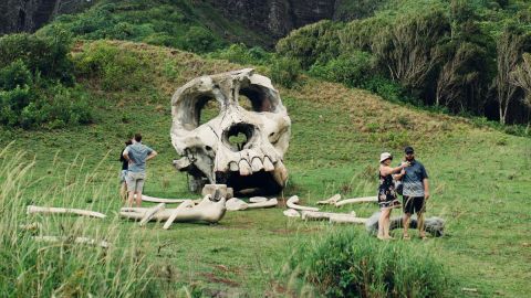 Best of Kualoa Experience