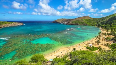 The Ultimate Circle Island: Beauty and the Feast out of Ko Olina