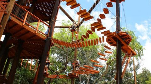 Aerial Challenge Course at Coral Crater Adventure Park