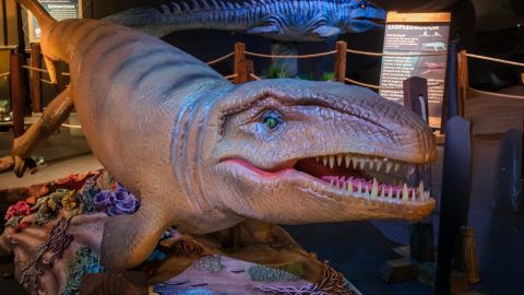 Bishop Museum : General Admission Tickets