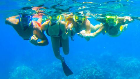 AM Serenity Snorkel