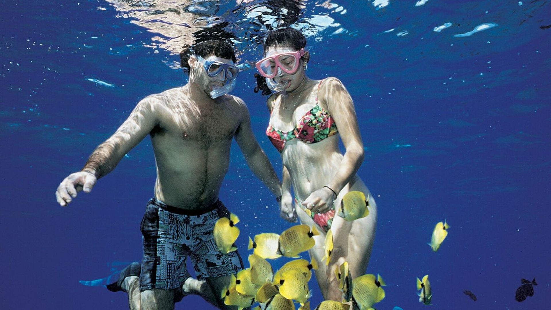 AM Serenity Snorkel