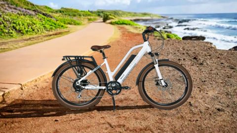 Cruiser - Electric Bike Rental