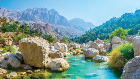 Discover the South & Wadi Shab