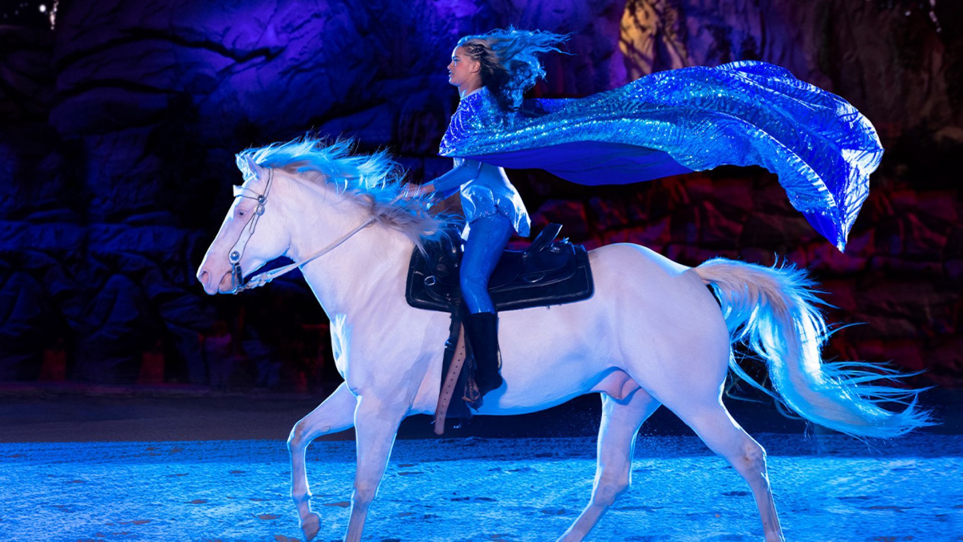 Regular Admissions to Dolly Parton's Stampede Dinner and Show