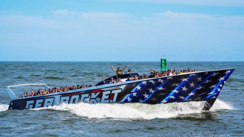 Speed Boat & Dolphin Cruise