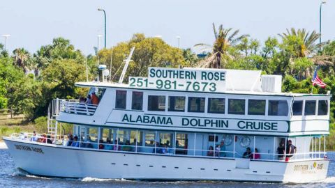 Sunset Southern Rose Dolphin Cruises