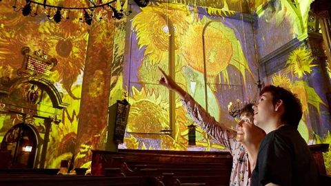 Lovers Canal Cruise + Van Gogh en Rembrandt in Amsterdam (English show)
