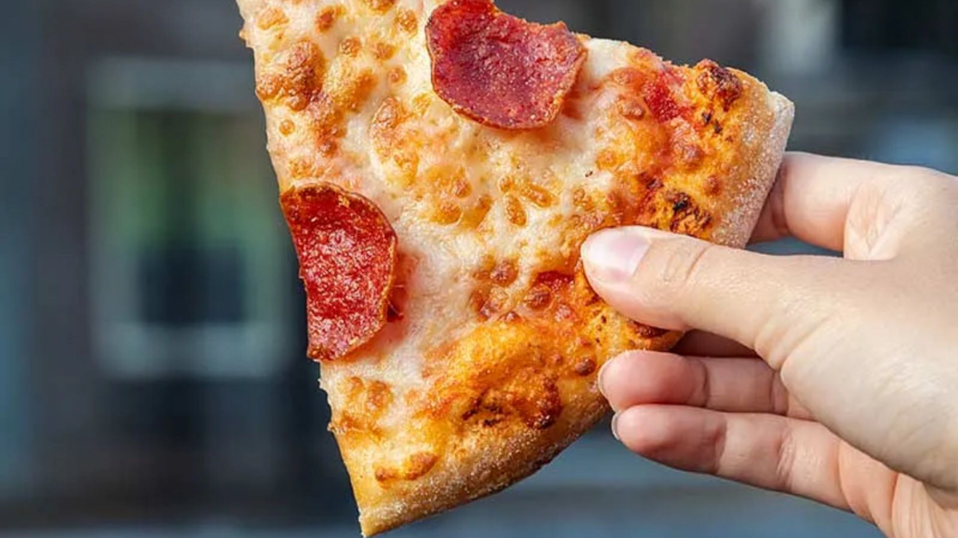 New York Pizza by LOVERS Canal Cruise in Amsterdam