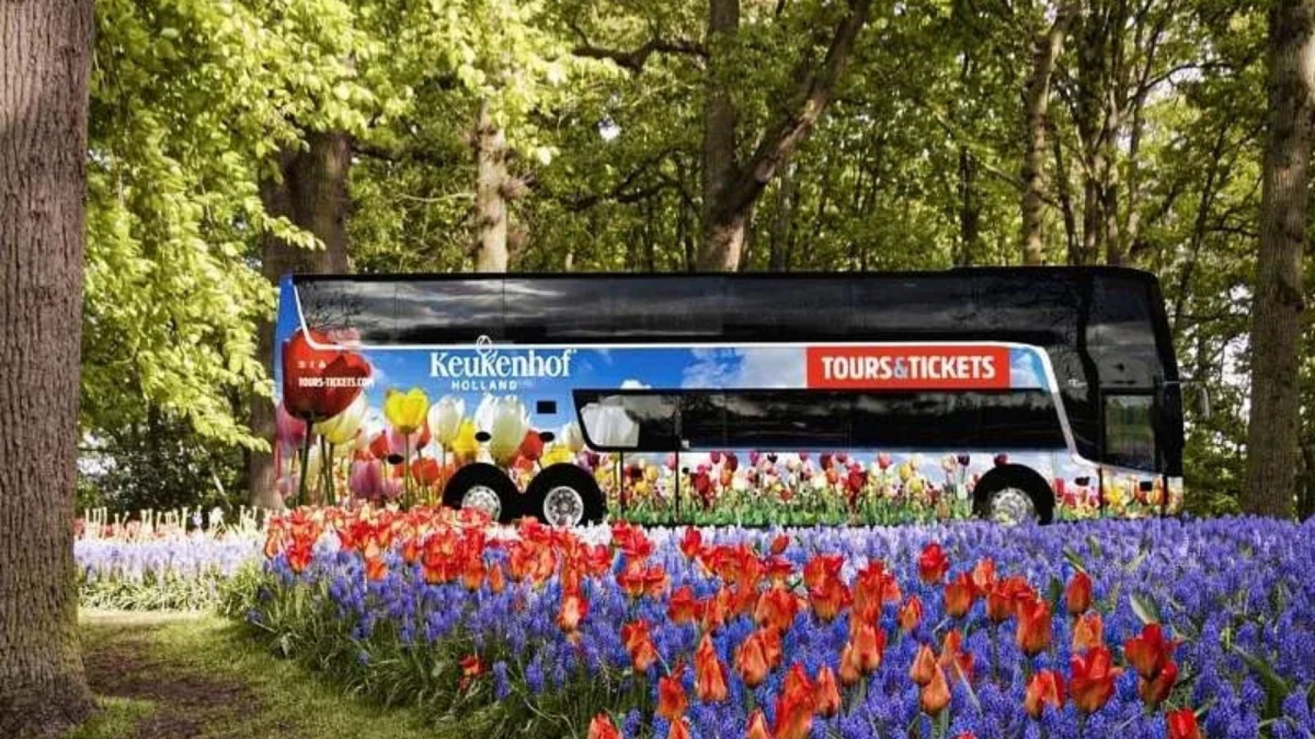 Keukenhof – Amsterdam Bus Transfer