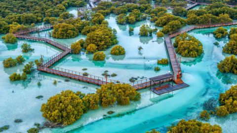 Jubail Mangrove Park - Boardwalk Experience