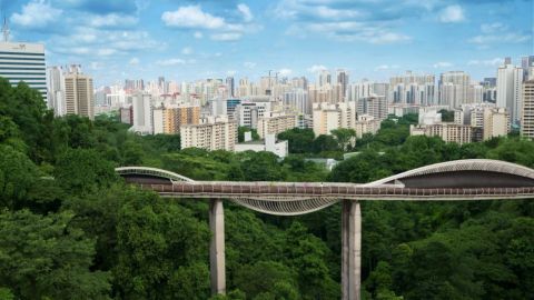 Mount Faber Trails and Garden Tea Private Tour